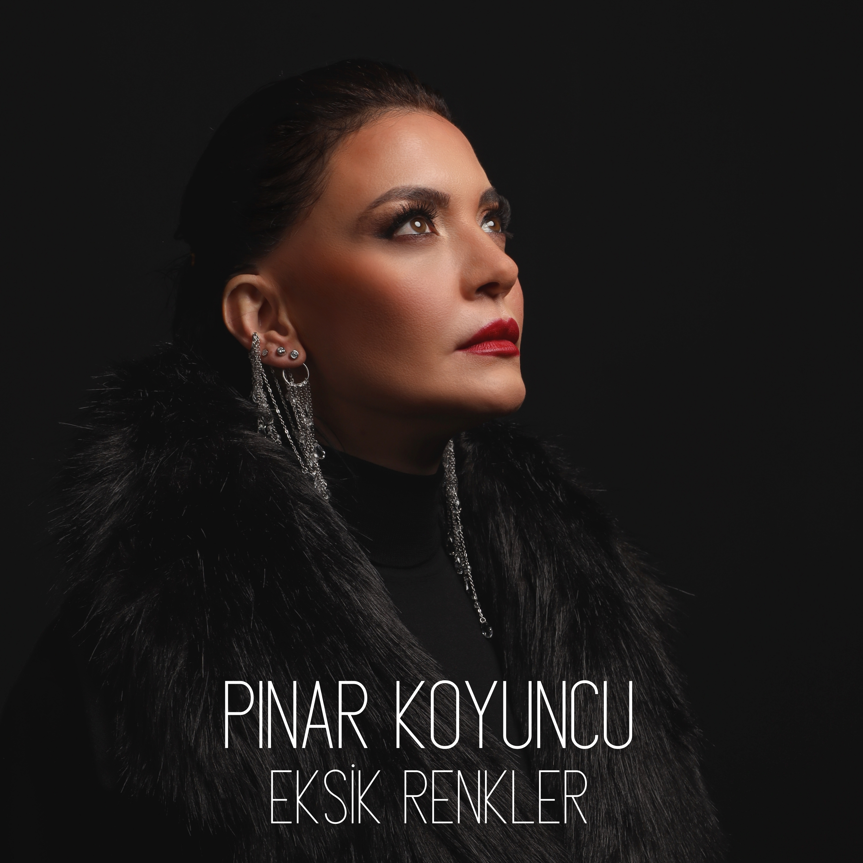 Pınar Koyuncu — Eksik Renkler kapak görseli